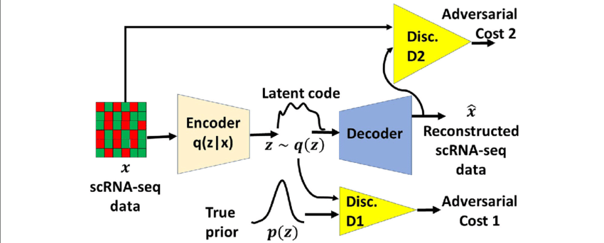The-novel-architecture-of-an-Adversarial-Variational-AutoEncoder-with-Dual-Matching.png