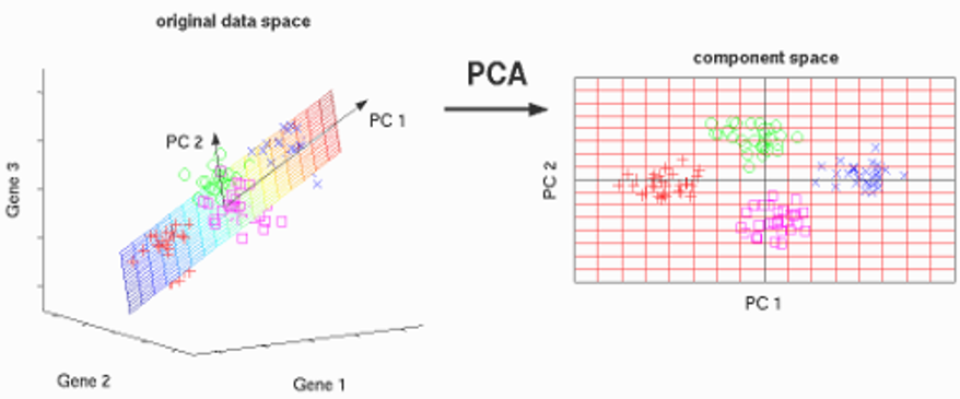 pca.png